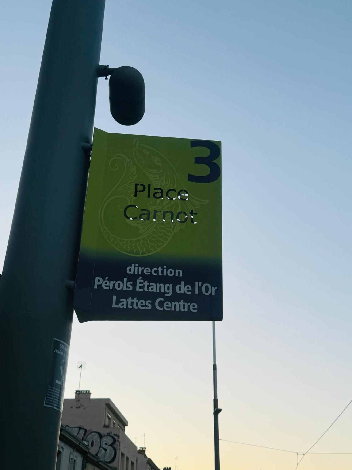 Paradis Calme En Plein Centre Ville モンペリエ エクステリア 写真